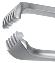 White Tonsil Forceps