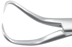 Backhaus Towel Forceps