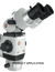 Binoculars - Inclinable Binocular