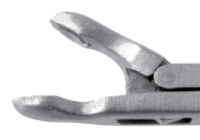 Micro Cup Forceps