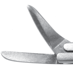 House-Bellucci Alligator Ear Scissors