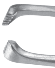 Allis-Coakley Tonsil Forceps - Slightly Curved