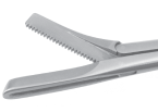 Struycken Turbinate Forceps