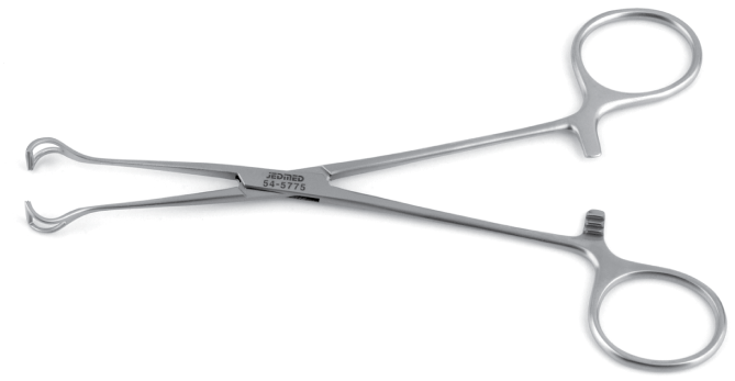 Babcock Forceps Full View