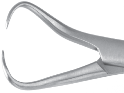 Backhaus Towel Forceps