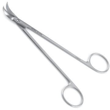 Lower Lateral Scissors