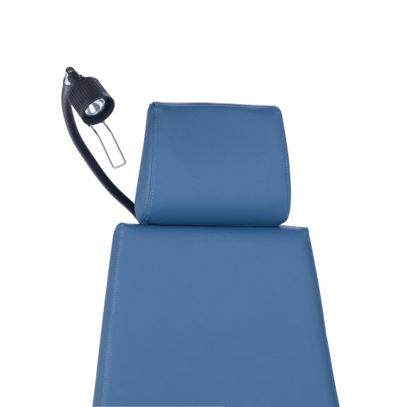 Gooseneck Chair Light